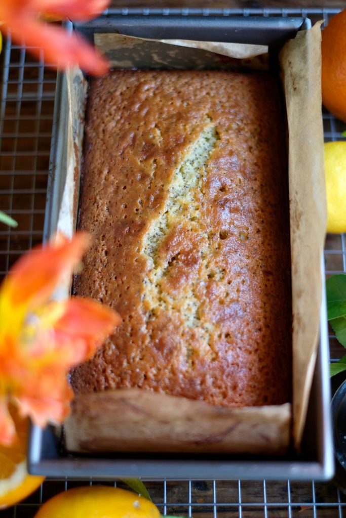 Baked almond citrus loaf cake in pan