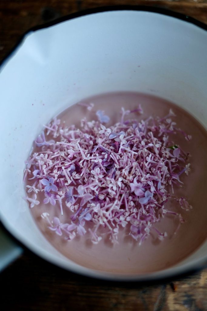 steeping lilac blossoms in a saucepan for lilac syrup